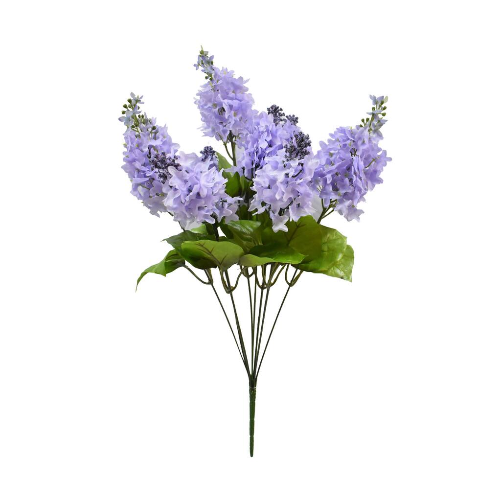 10650286_1.jpg img